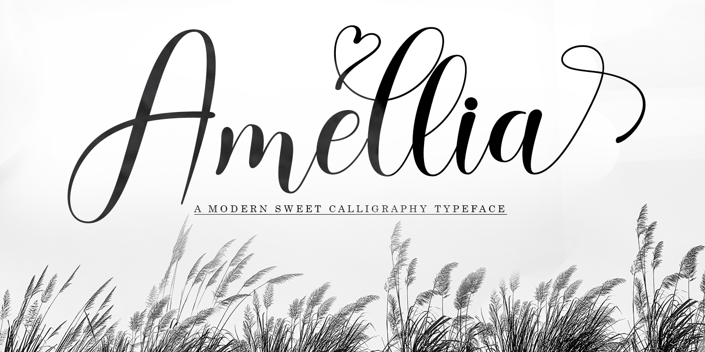 Amellia Script Font preview
